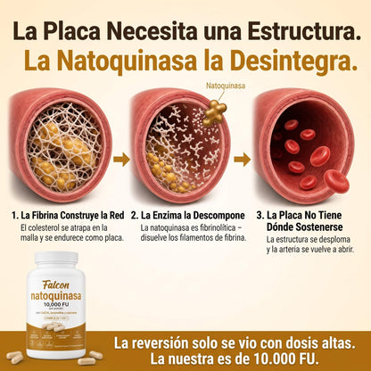 Natoquinasa de Máxima Potencia 10,000 FU — Apoyo a la Circulación para Hombres y Mujeres (25 a 65+ Años)